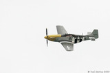A8V8015 P-51 Mustang